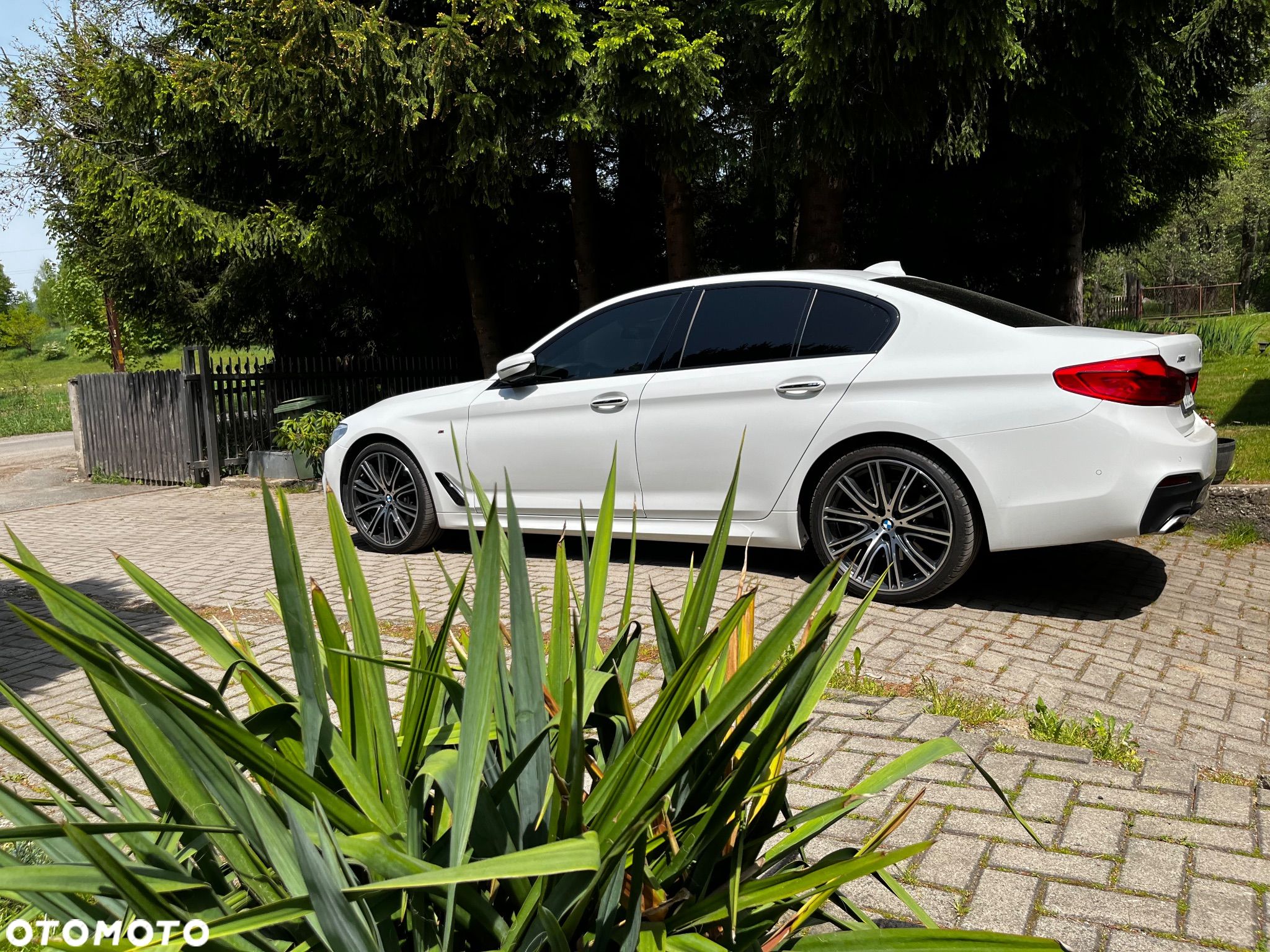 BMW Seria 5 520d M Sport - 1