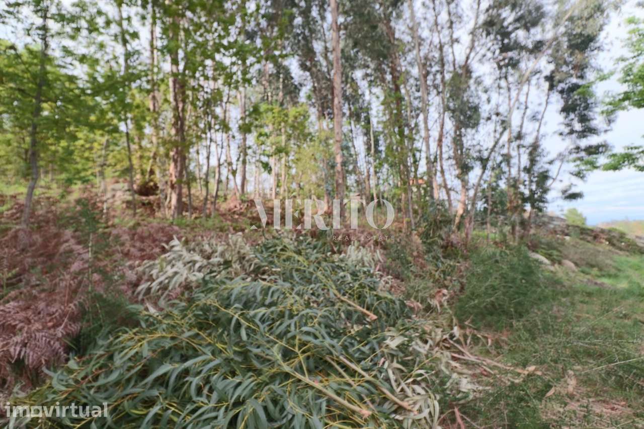Lote de terreno para construção, com área total de 4.861M2 na freguesi - Grande imagem: 4/18