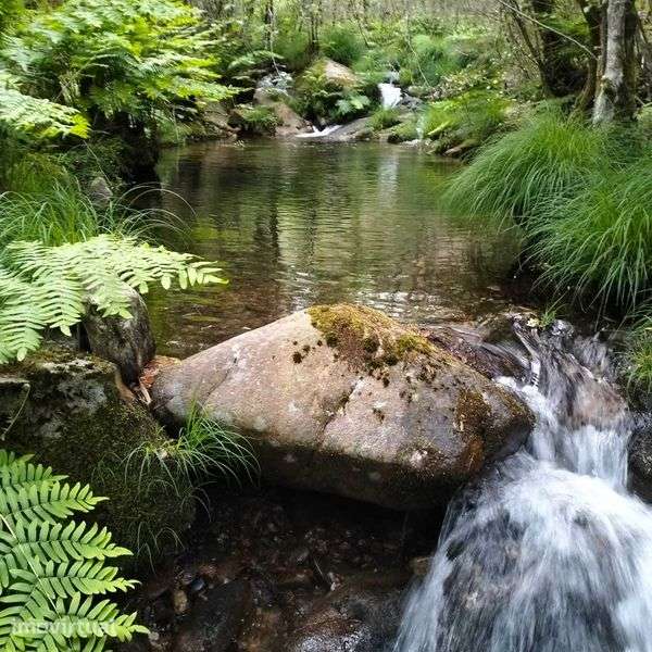 Propriedade nas MONTANHAS MÁGICAS - São Pedro do Sul - Grande imagem: 4/12