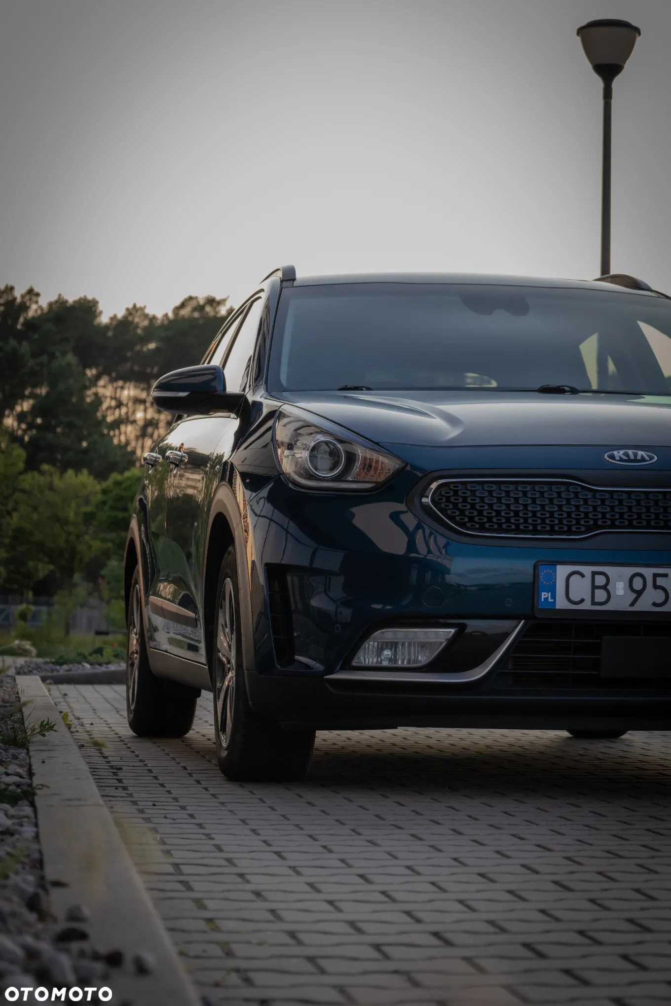 Kia Niro - 16