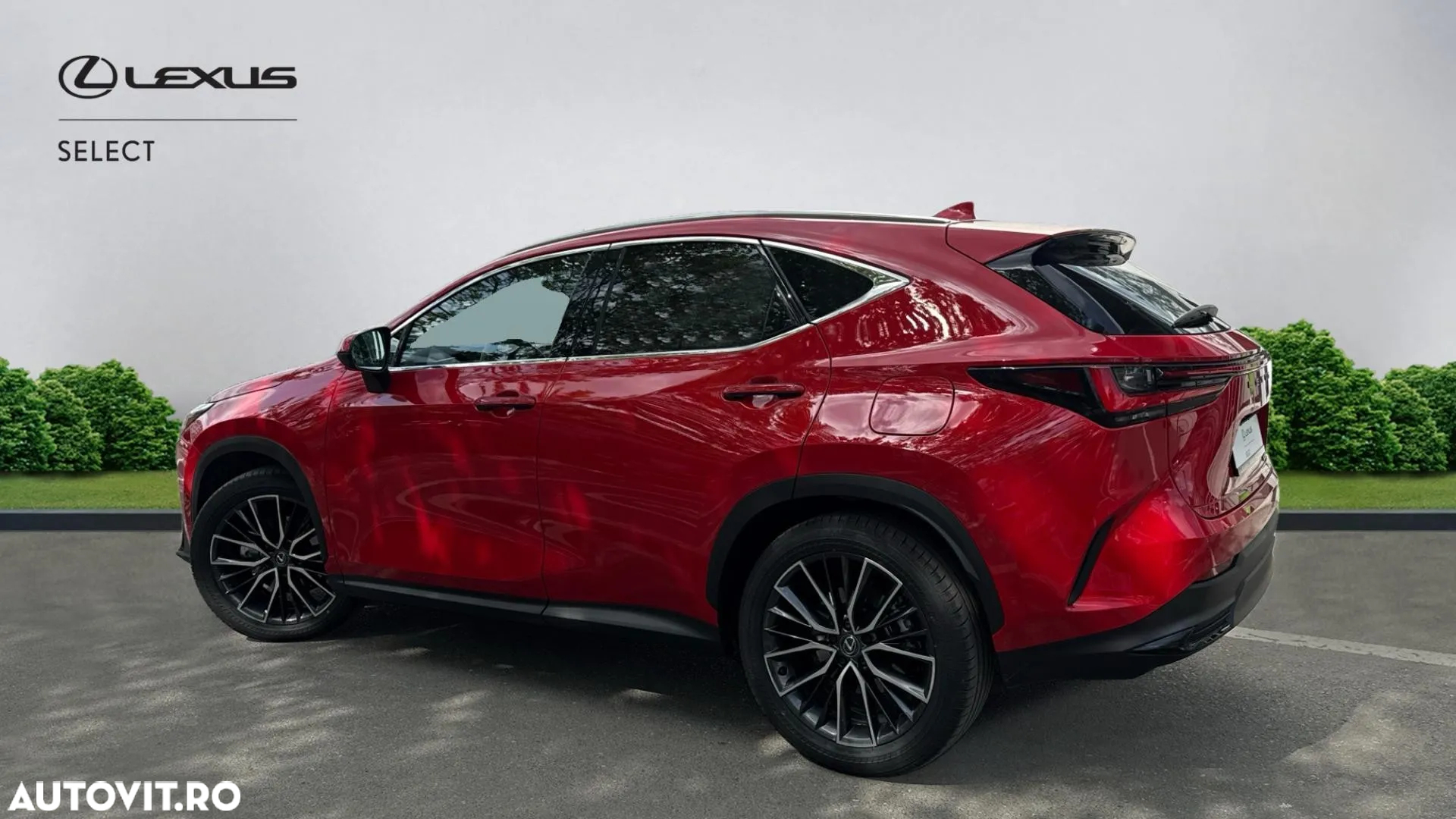 Lexus Seria NX 350h AWD CVT HEV Luxury - 5