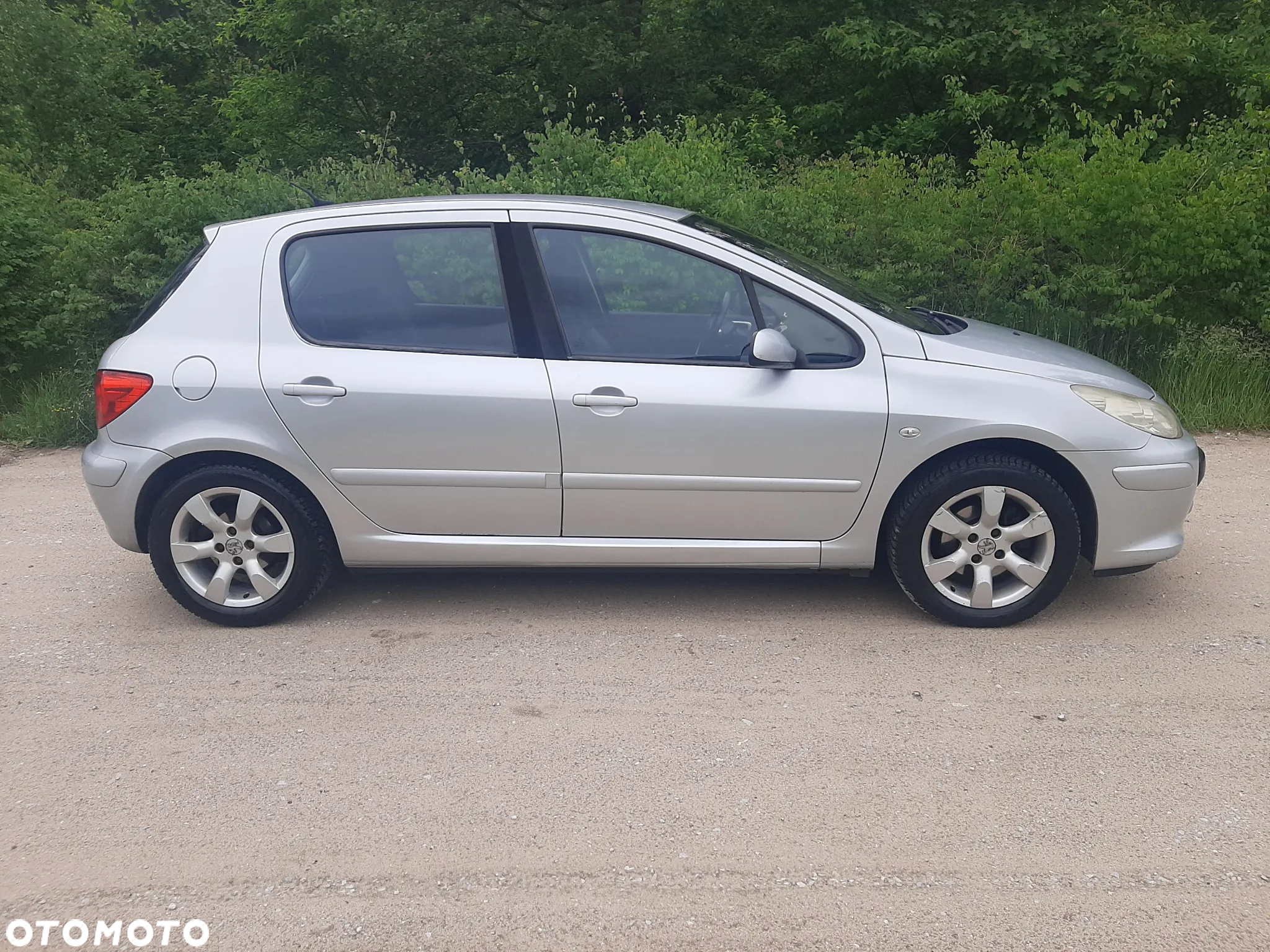 Peugeot 307 2.0 Premium - 9
