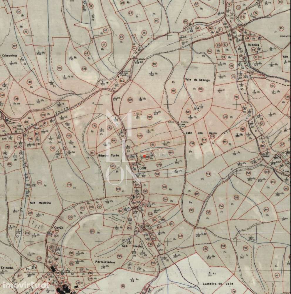 Terreno Rústico 1.520 m2 com Oliveiras e Pinhal – Amêndoa, Mação (Ribe - Grande imagem: 4/4