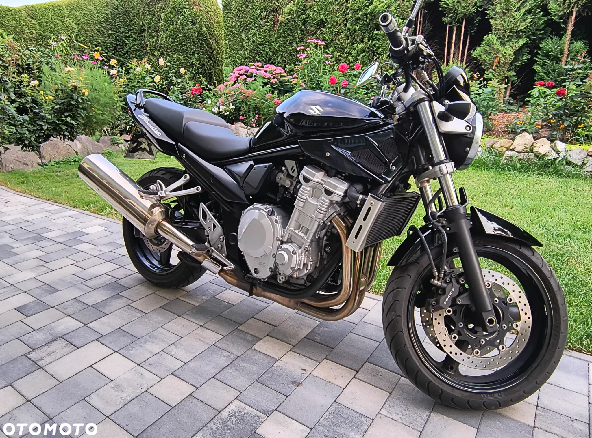 Suzuki Bandit - 22