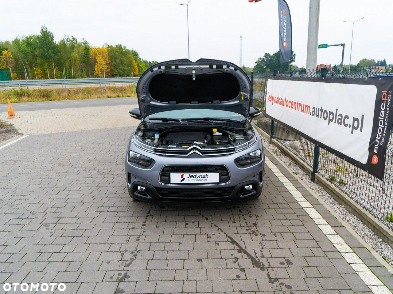 Citroën C4 Cactus - 19
