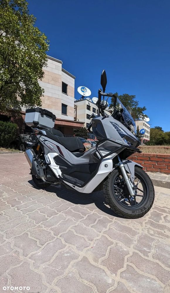 Barton X-Trail - 16