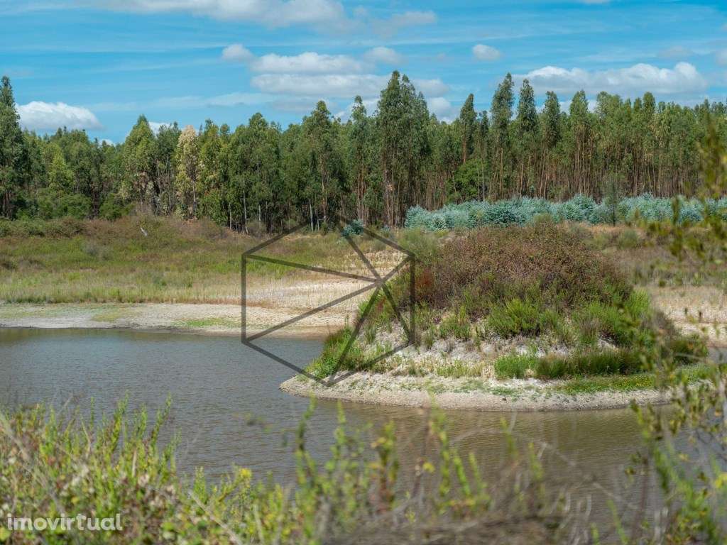 Herdade com 168 hectares em Ponte de Sôr para venda - Grande imagem: 4/33