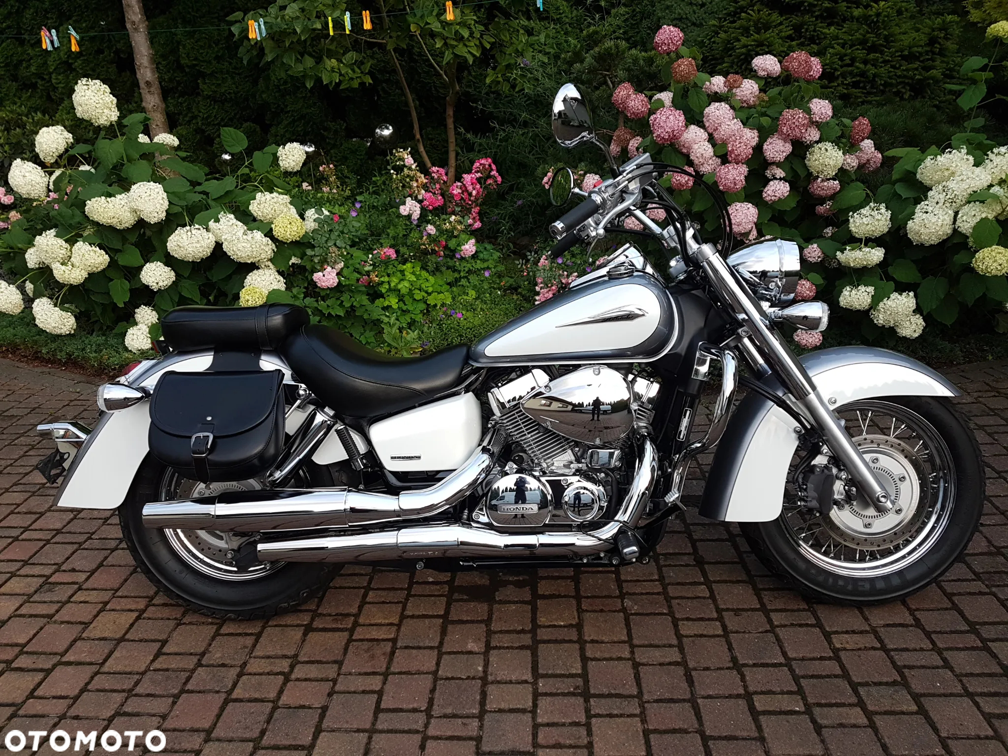 Honda Shadow - 4