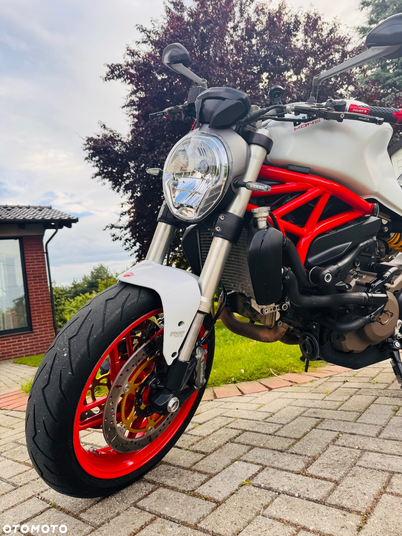 Ducati Monster - 11
