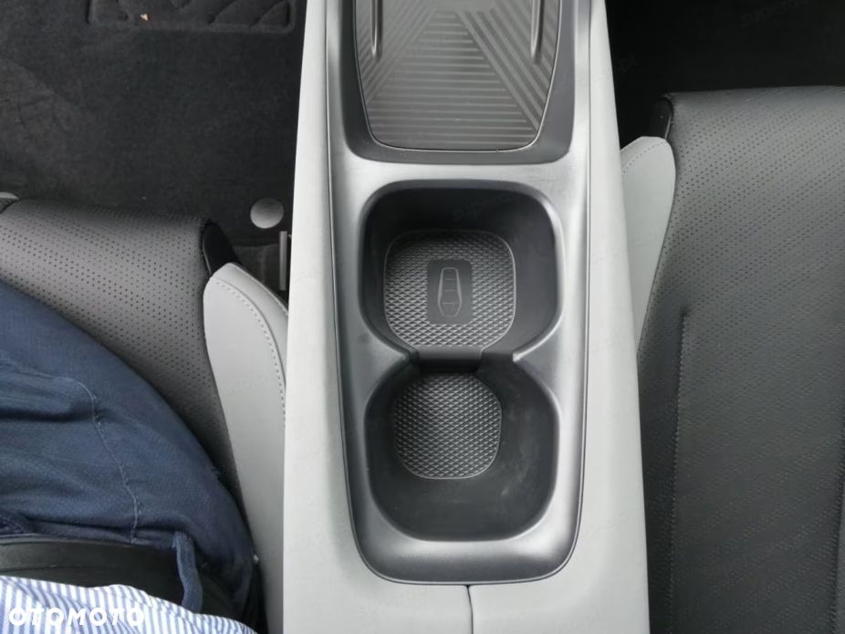 BYD Dolphin Surf - 13