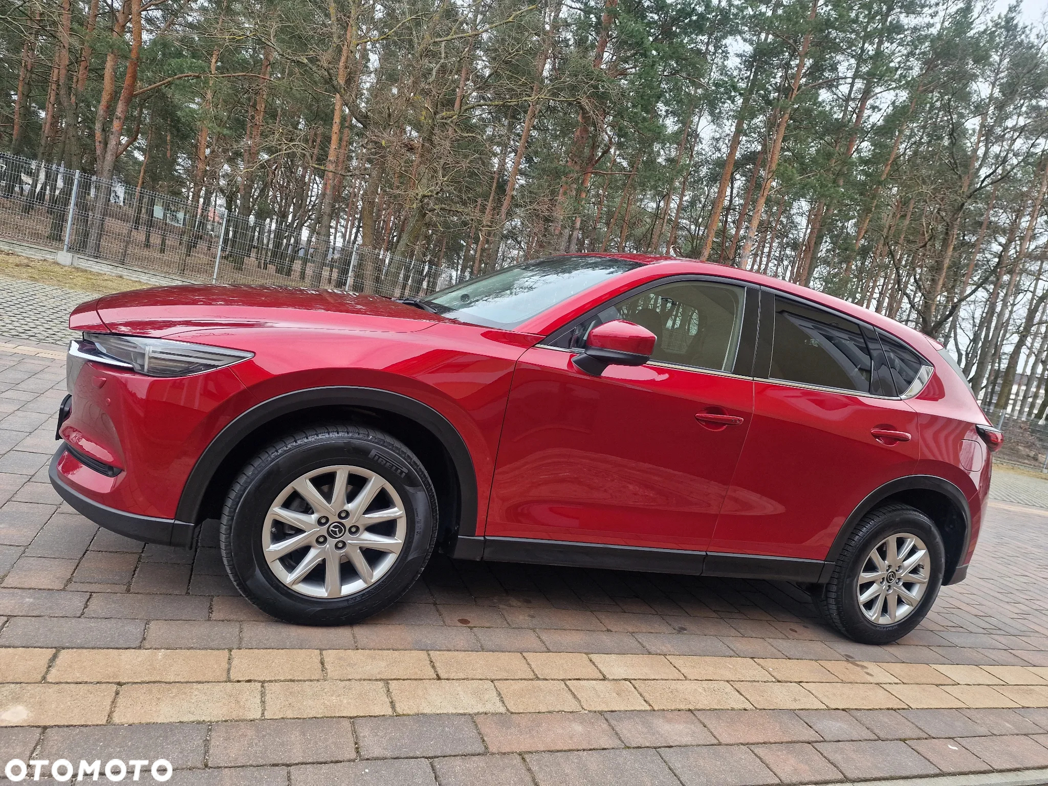 Mazda CX-5 2.2 D Skypassion AWD - 8