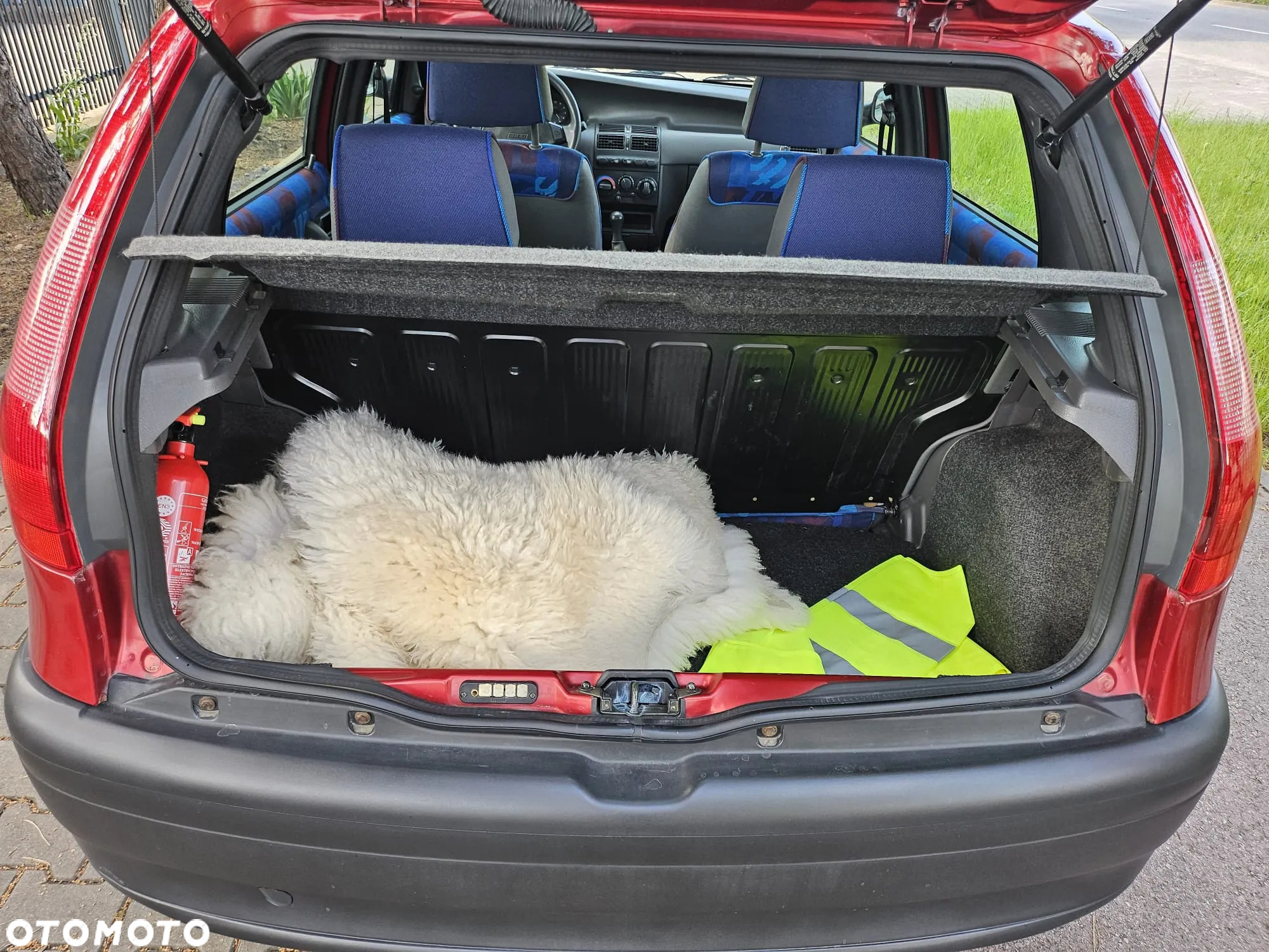 Fiat Punto 55 Sole - 8