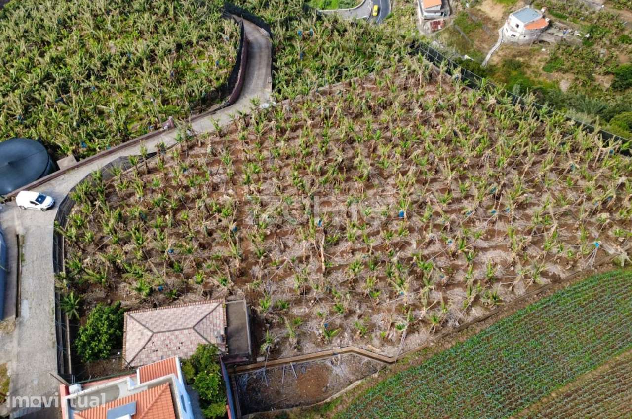 Terreno com Potencial Único para Projeto Turistíco - Grande imagem: 5/6