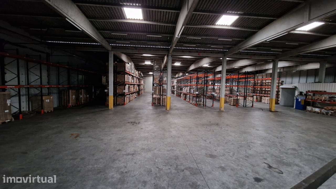 Armazém logístico 2900m2 c/ 5 cais - aeroporto - totalmente remodelado - Grande imagem: 3/14