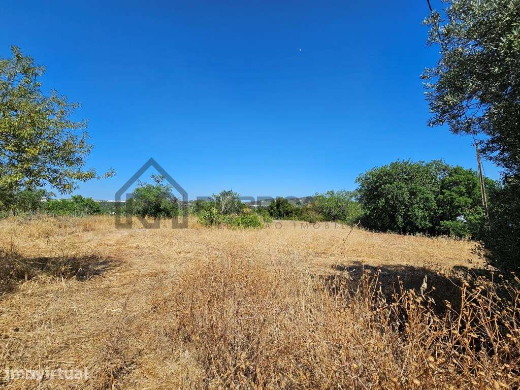 Casa com herdade de 30 mil m2 a sul de Loulé com enorme potencial - Grande imagem: 3/18