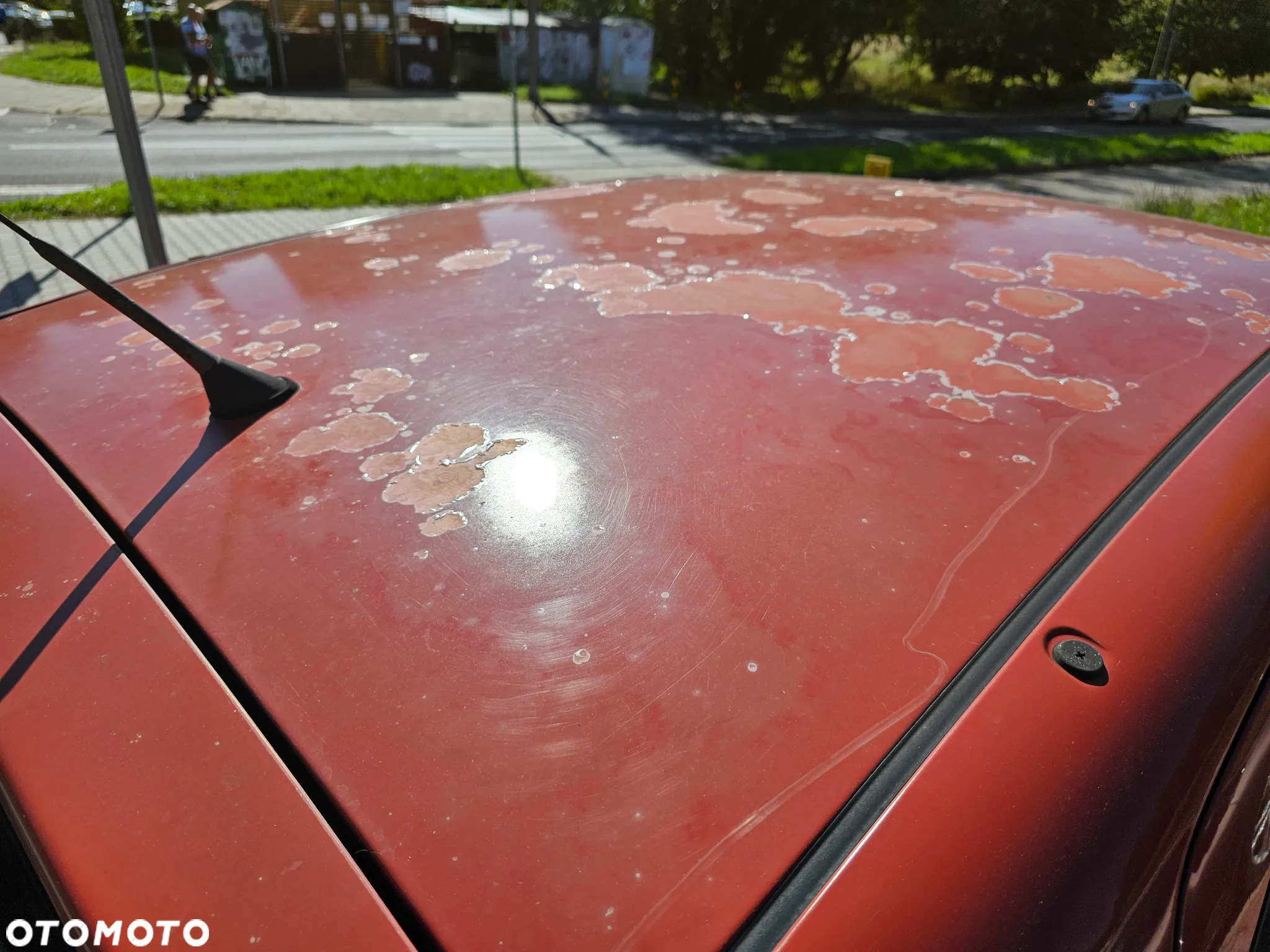 Fiat Panda - 11