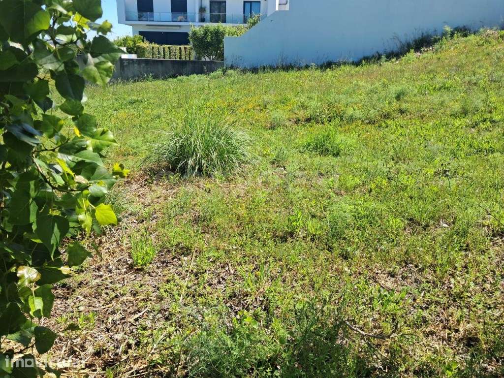 Lote de Terreno para Construção de Moradia - Torres Novas - Grande imagem: 3/9