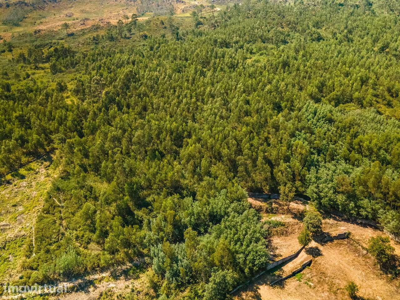 Moradia Devoluta T0 Venda em Sande e São Lourenço,Marco de Canaveses - Grande imagem: 3/10