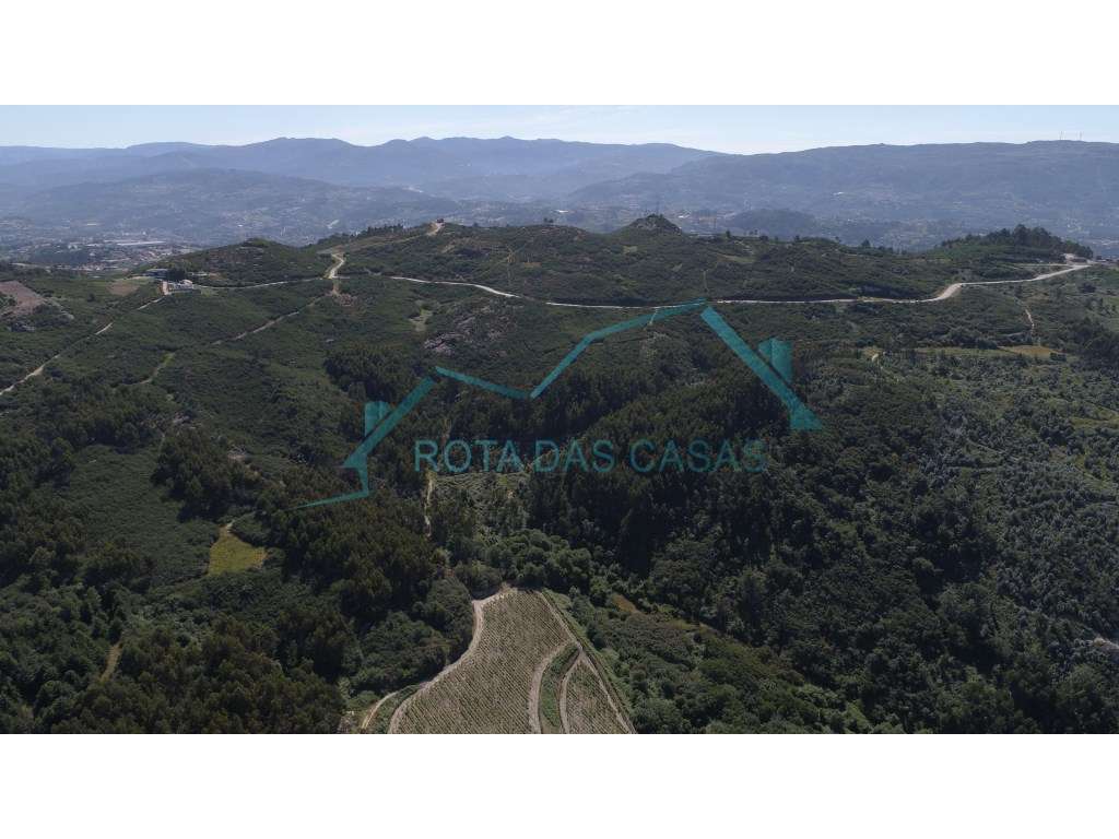 Quinta à venda em Banho e Carvalhosa - Marco de Canaveses - Grande imagem: 5/6