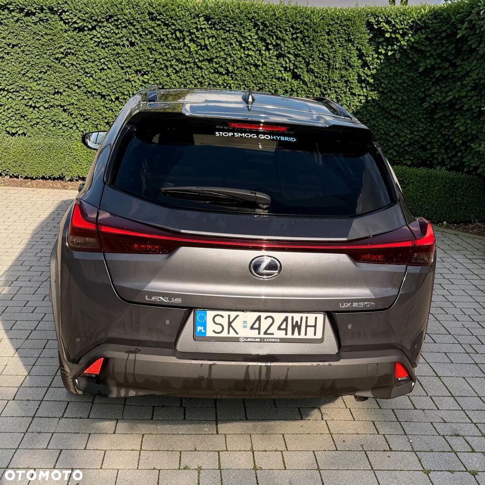Lexus UX 250h GPF F Impression 2WD - 4