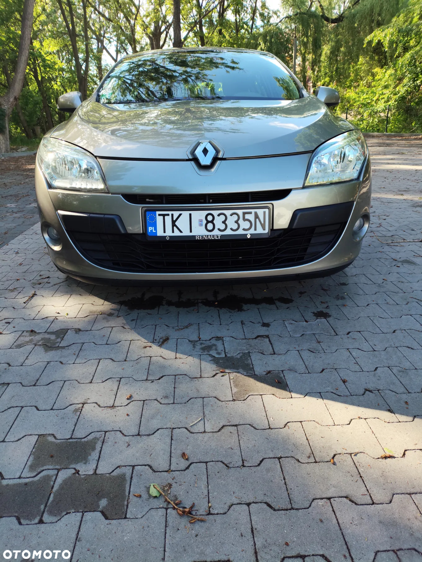 Renault Megane 1.6 16V 100 Authentique - 2