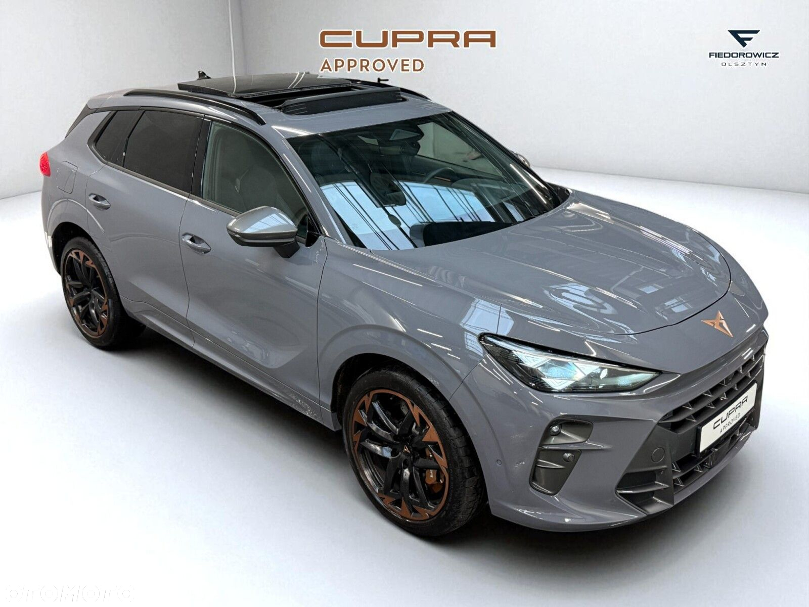Cupra Terramar 2.0 TSI 4Drive VZ DSG - 15
