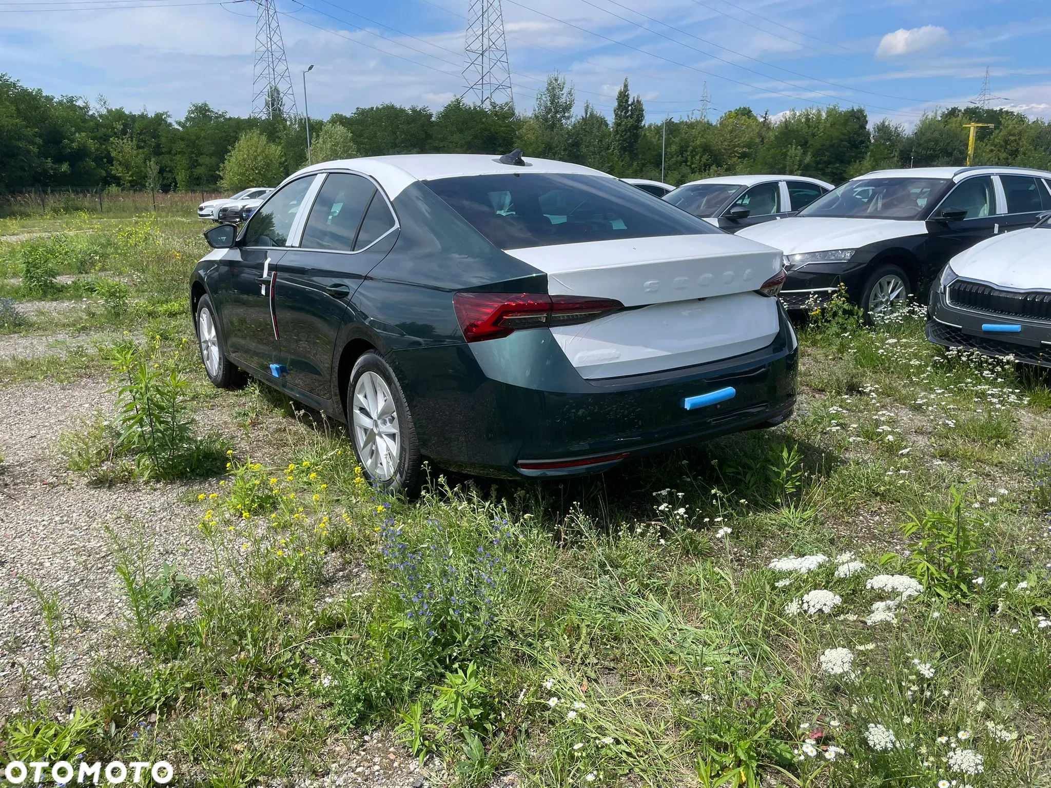 Skoda Octavia 1.5 TSI Selection - 5
