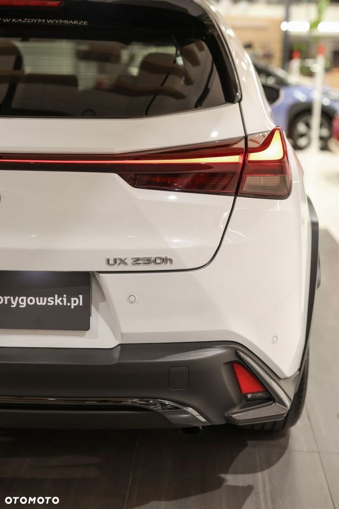 Lexus UX 250h GPF F Sport Design 2WD - 30