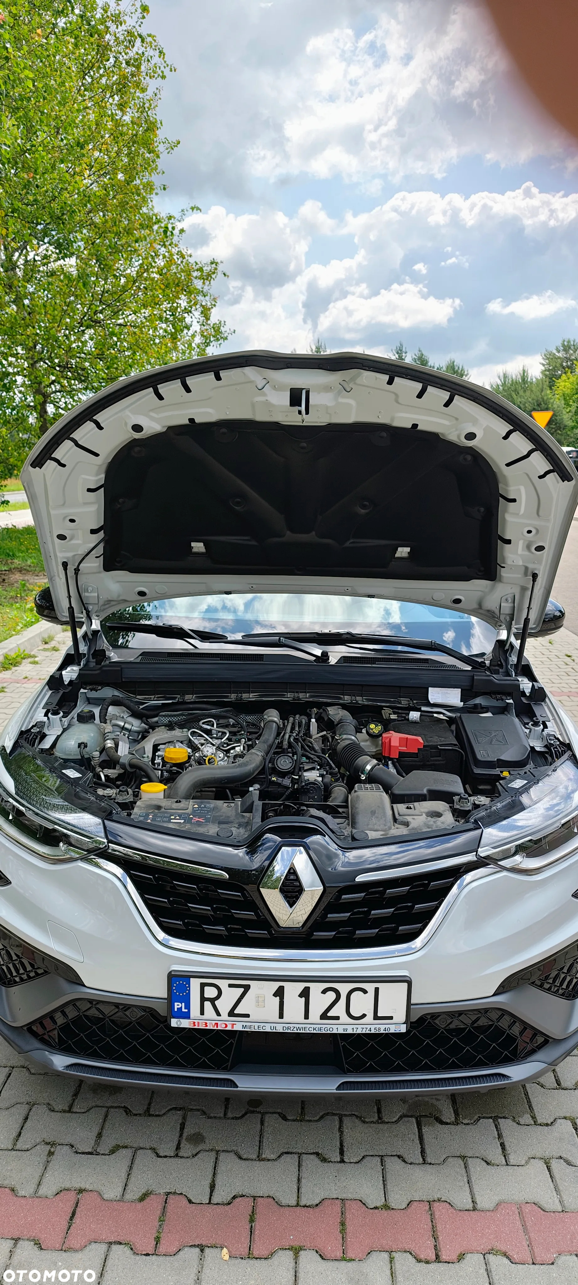 Renault Arkana - 22