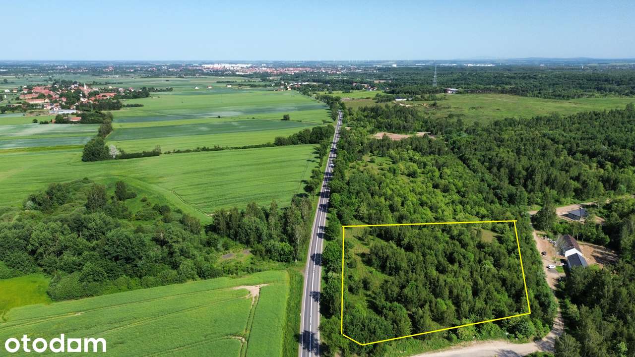 DZIAŁKI INWESTYCYJNE PRZY DK94 – GNIEWOMIROWICE; LEGNICA; LUBIN; JAWOR - Pełny obrazek: 2/5
