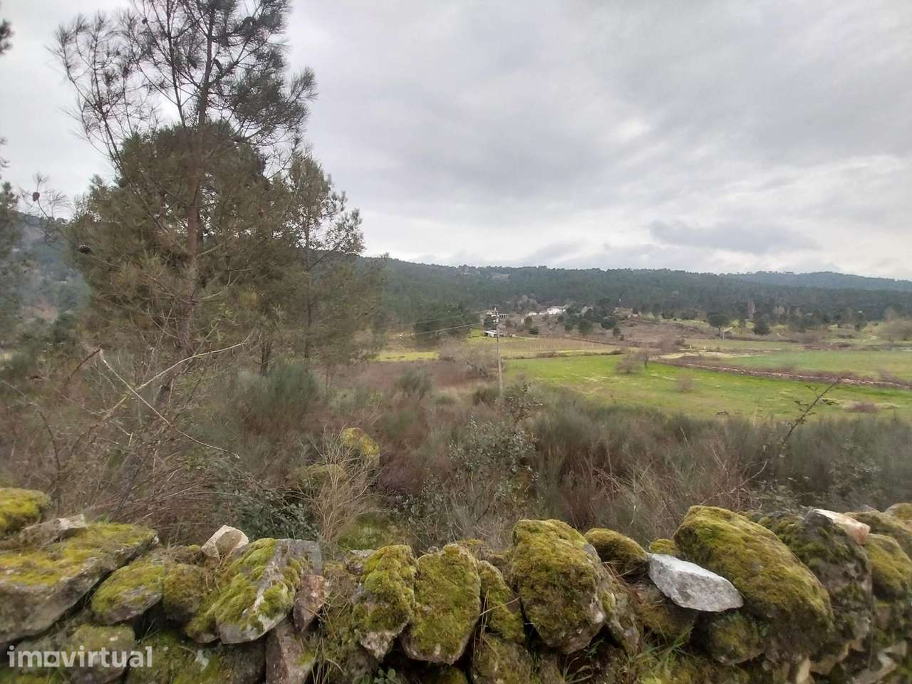Terreno em Chaves, Oura - Grande imagem: 2/6