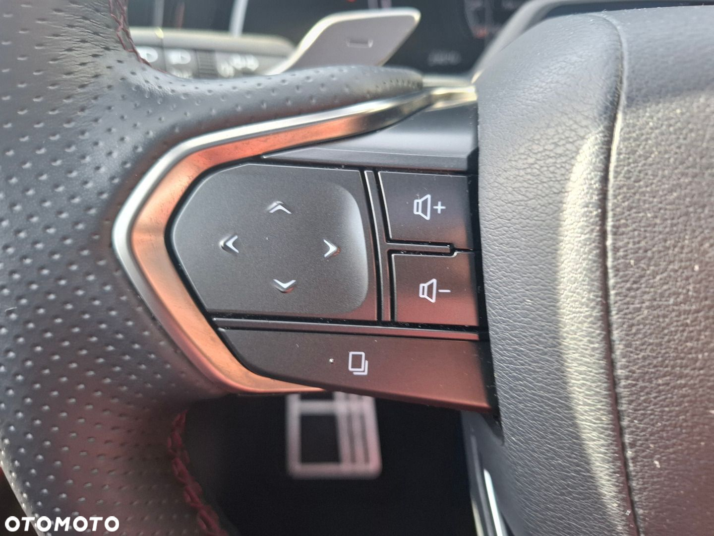Lexus RX - 34