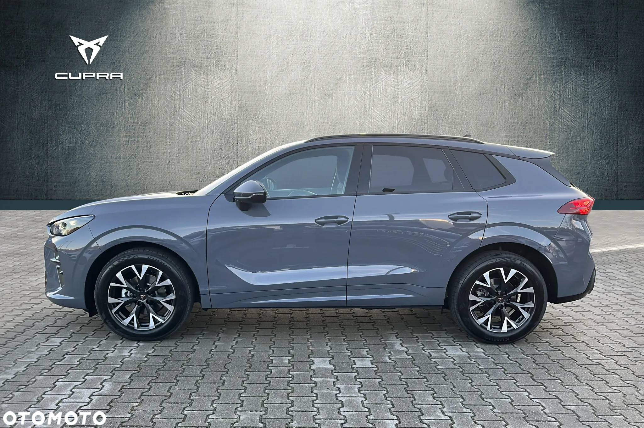 Cupra Terramar 2.0 TSI 4Drive VZ DSG - 5