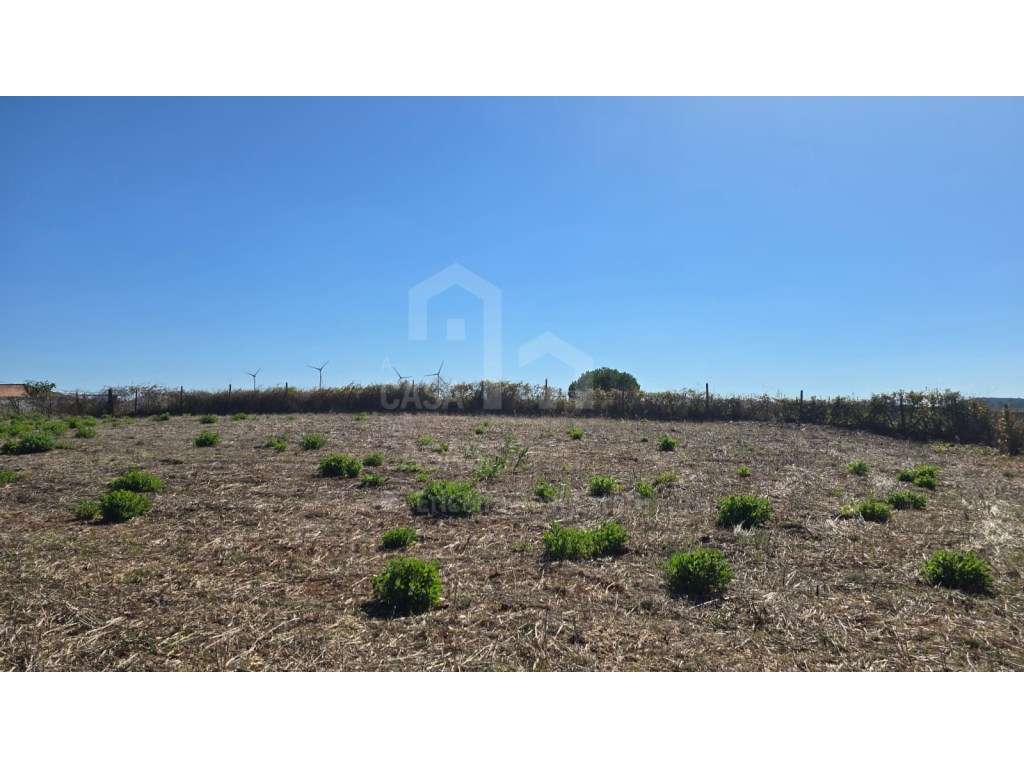 Vende Terreno - Ericeira 20 Km, A Casa das Casas - Grande imagem: 2/7