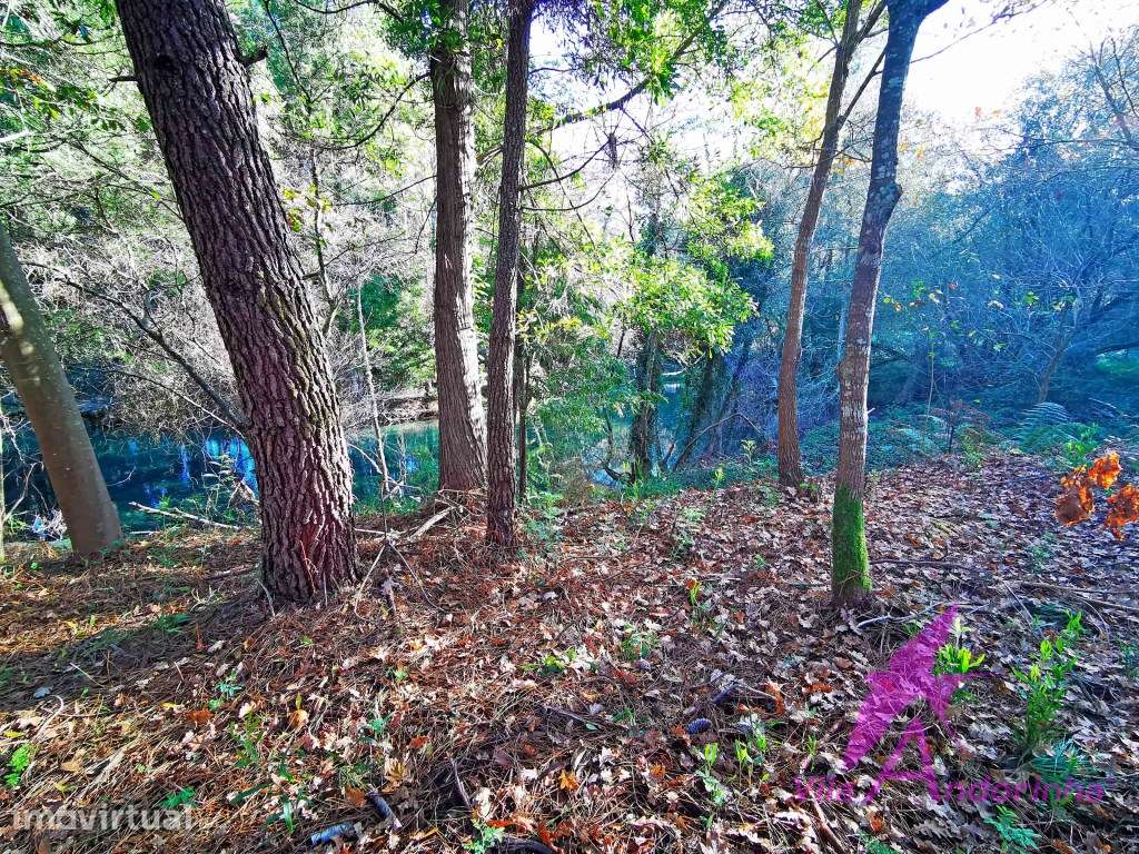 Terreno com 7740 m2 em Freixieiro de Soutelo, ao lado do rio Âncora... - Grande imagem: 5/48