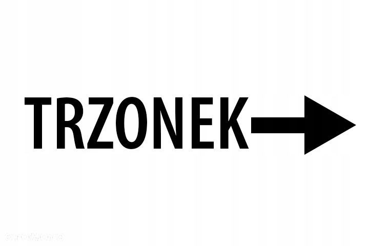 ŻARÓWKI LED H7 E57 9V/16V 6000K 12W - 10