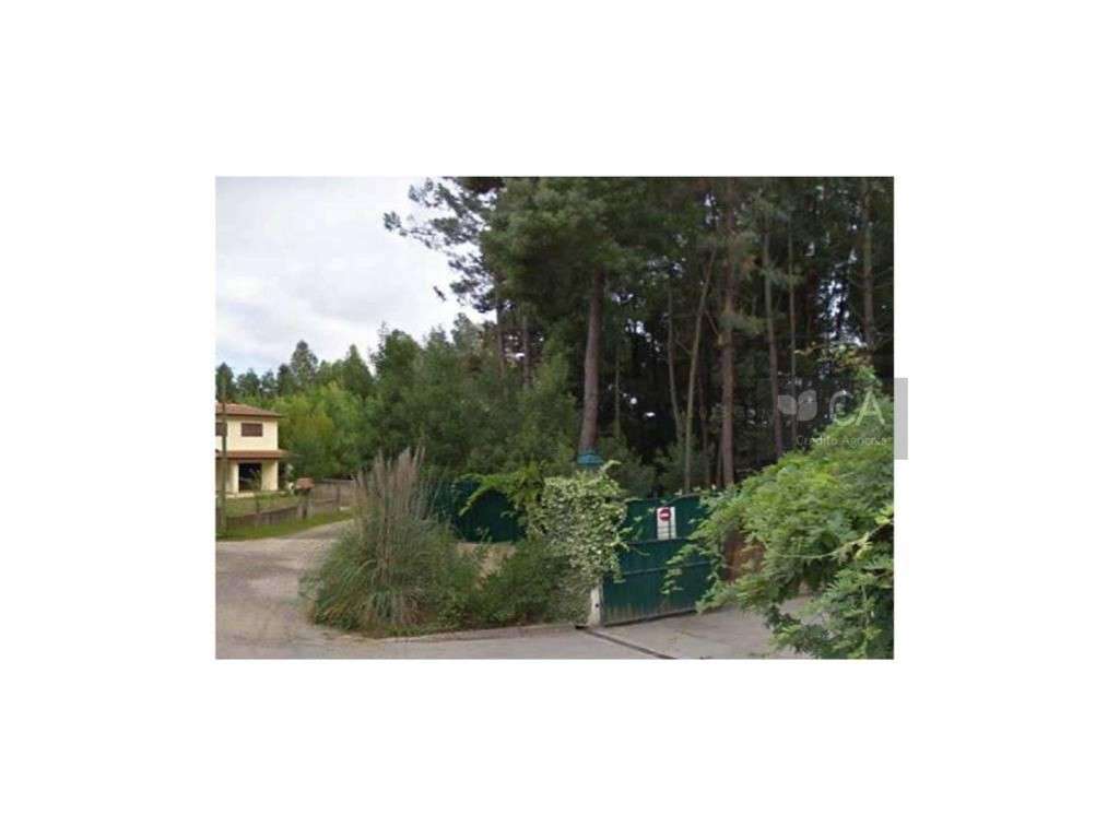 Terreno Rústico - Grande imagem: 3/4