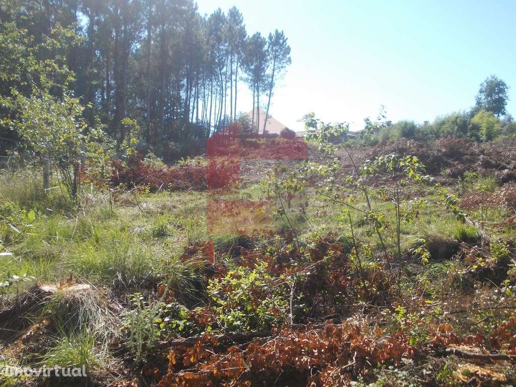 Terreno para construção, Oleiros - Grande imagem: 5/7