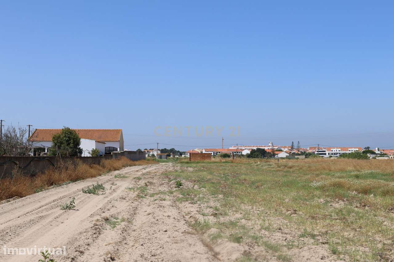 Terreno 1.6 Ha Samouco - Alcochete - Grande imagem: 3/9