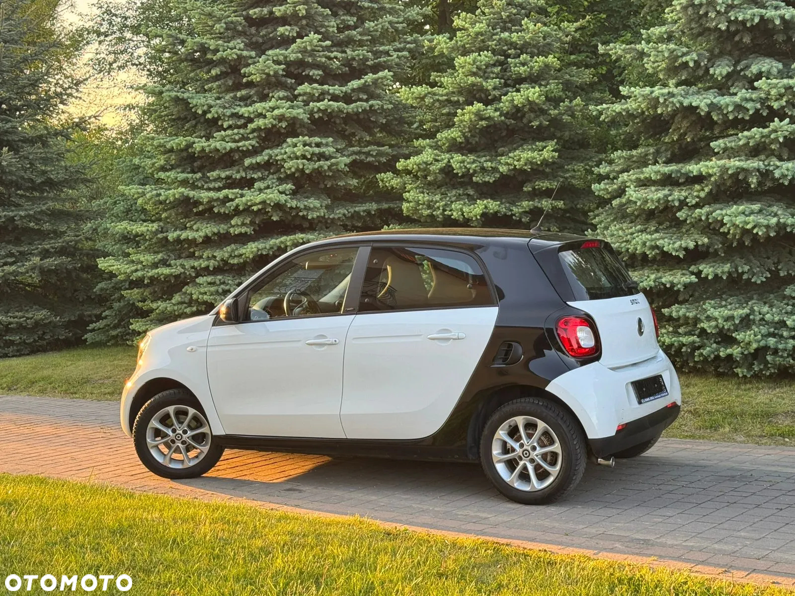 Smart Forfour passion - 6