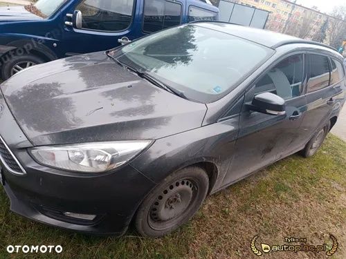 Ford Focus - 1