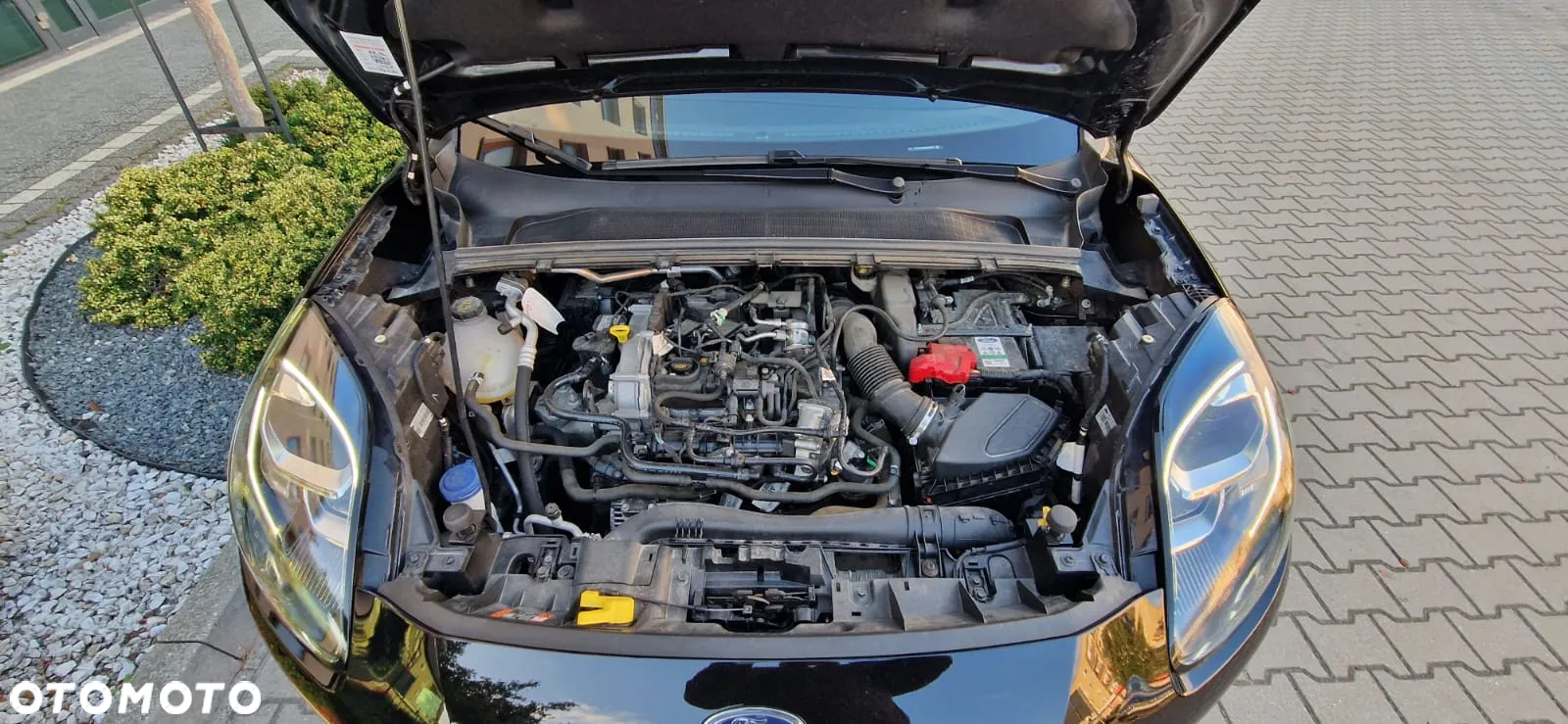 Ford Puma 1.0 EcoBoost Hybrid TITANIUM X - 8