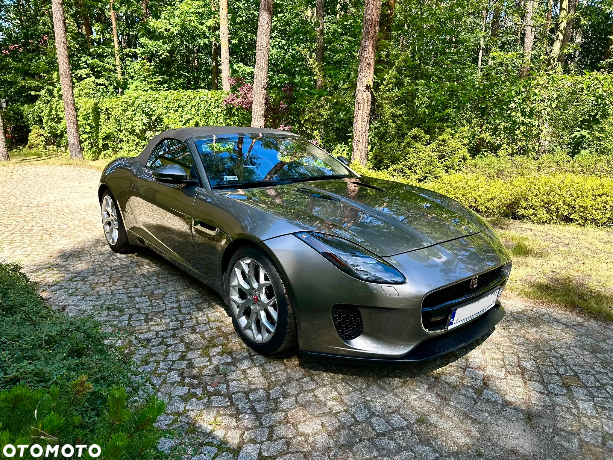 Jaguar F-Type 2.0 Turbo Chequered Flag - 3