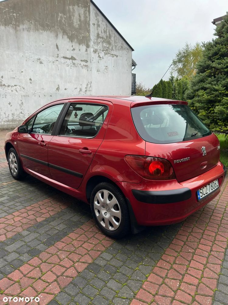 Peugeot 307 1.6 XS - 6