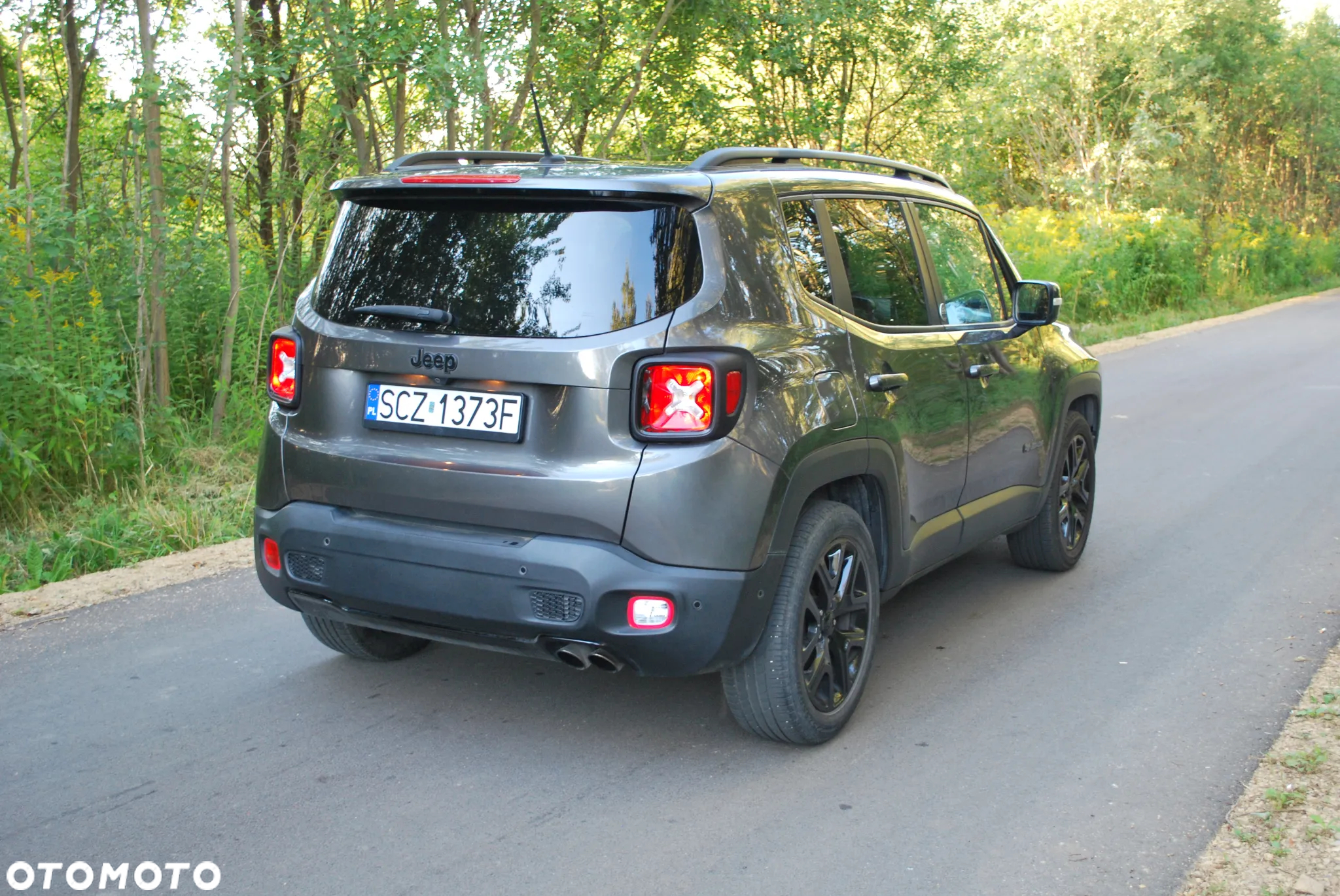 Jeep Renegade 1.4 MultiAir Limited FWD S&S - 10