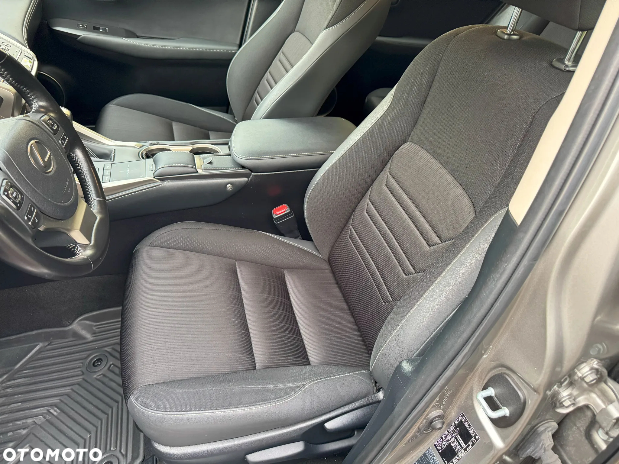 Lexus NX - 19