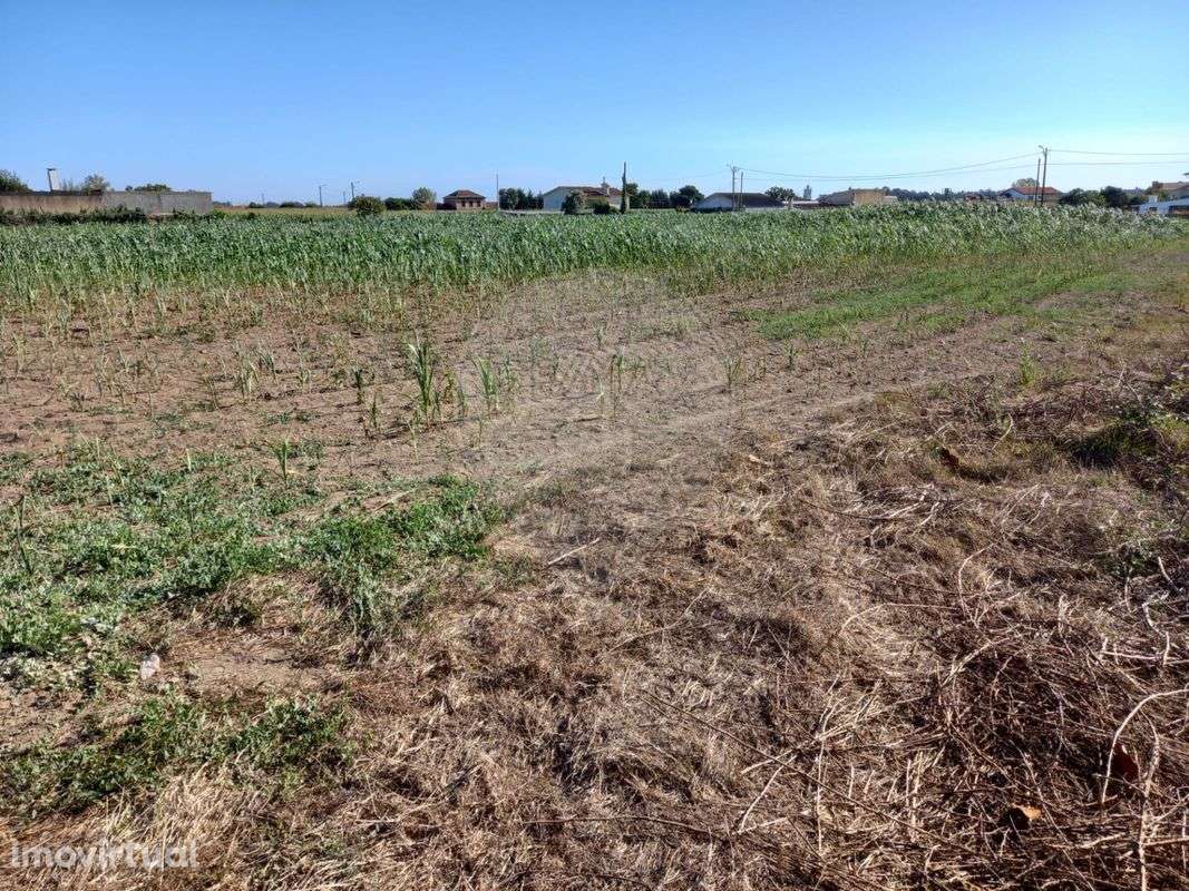 Terreno  para venda - Grande imagem: 4/7