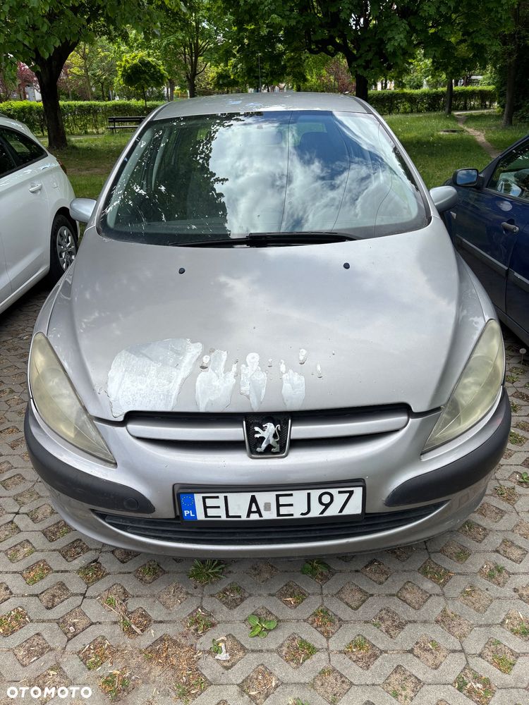 Peugeot 307 1.6 Mistral - 10