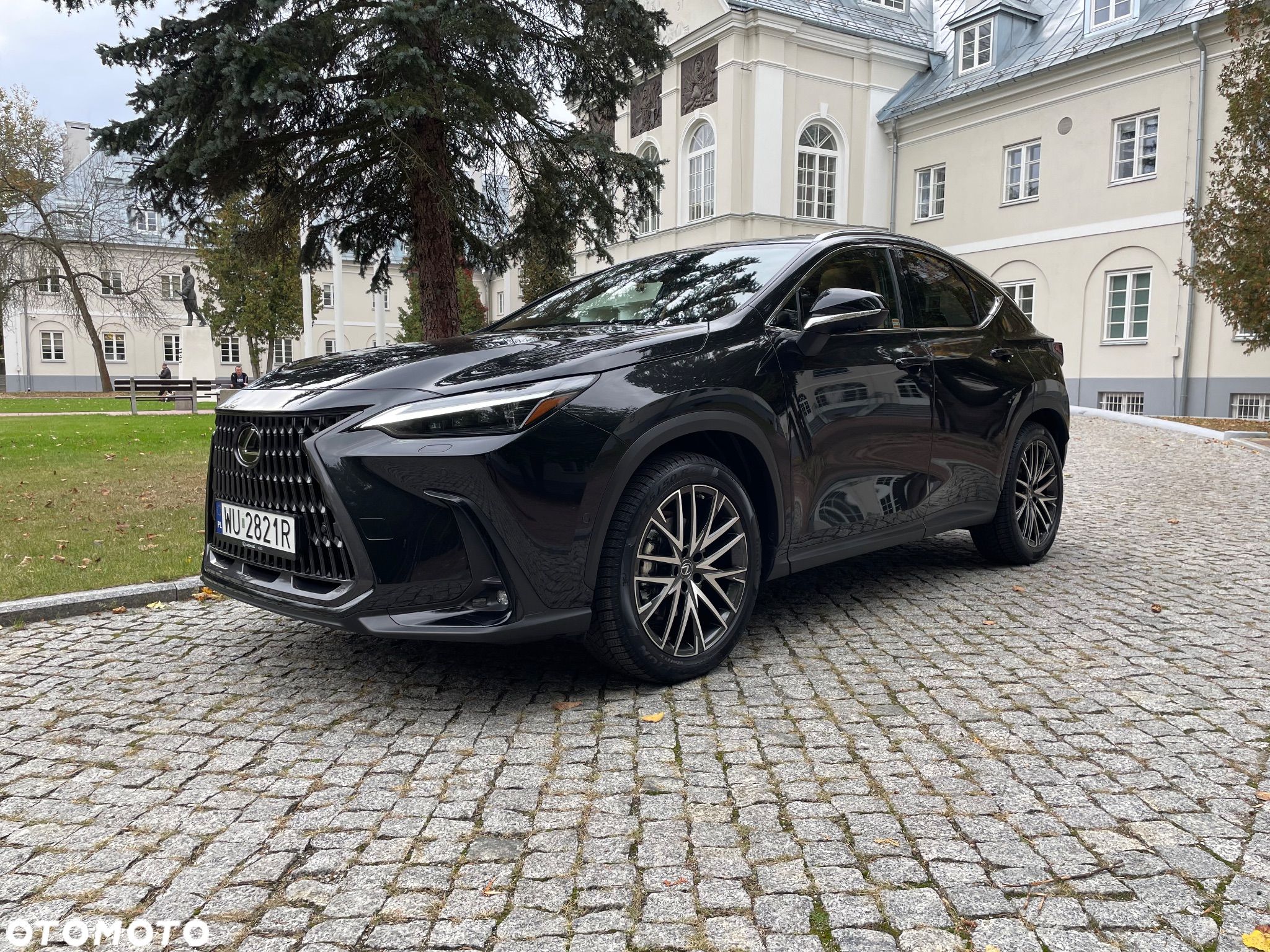 Lexus NX 350h Omotenashi AWD - 1