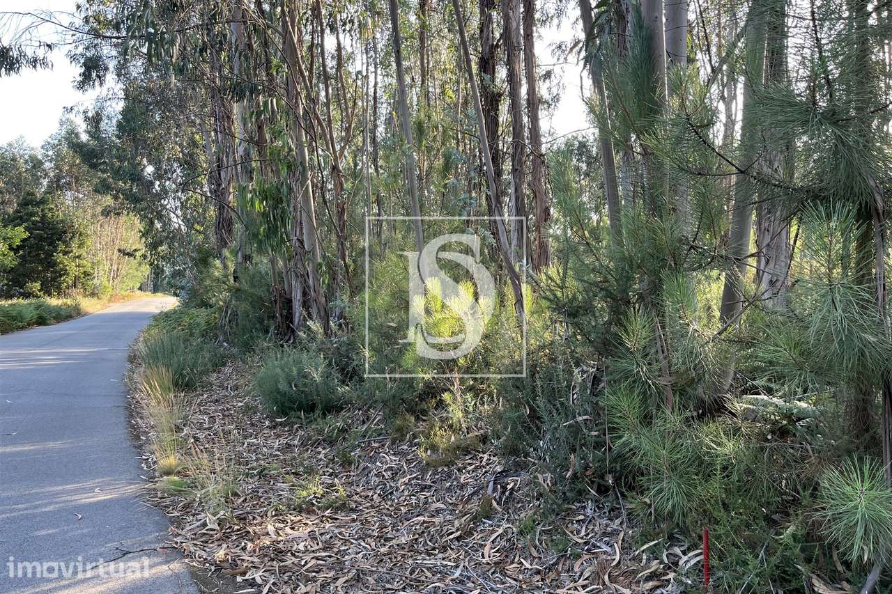 Terreno  Venda em Canas de Santa Maria,Tondela - Grande imagem: 2/6